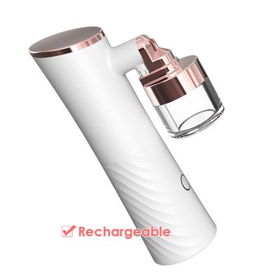 China Skin Tightening Factory Price 2 in 1 Face Beauty Skin Rejuvenation Wrinkle Removal Facial Mist Sprayer for sale