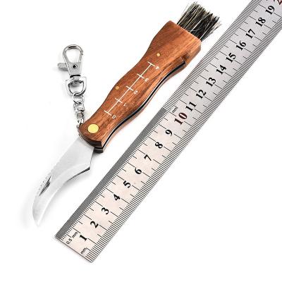 China Good Quality Non-changeable Stainless Steel Pocket Mushroom Knife With Color Handle Wood Graft for sale