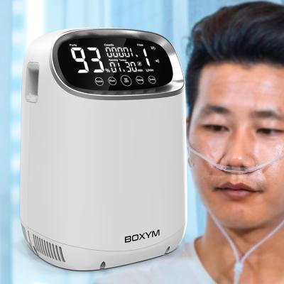 Cina Homecare Mini Portable Medical Grade 1L 2L 3L 5L 10L Liter 1L 2L 3L 5L 10L Adjustable Oxygen Oxygen Nebulizer Oxygen Generator Concentrator in vendita