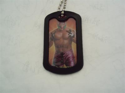 China Fashion design metal dog tags, zinc alloy, white steel plated, China supplier for dog tags for sale