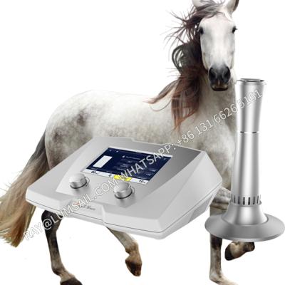 China Comfortable Veterinary Use Equine Shockwave Therapy Machine For Horses for sale