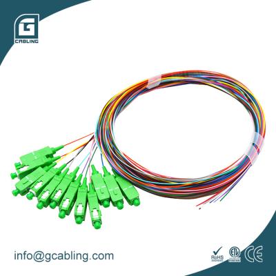 China FTTH FTTB FTTX Gcabling 12 Color Fiber Single Mode G652d G657a 0.9mm SC UPC APC Fiber Pigtail SC 12 Core Fiber Optic Pigtail for sale