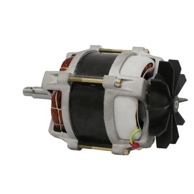 China General Electric Machinery Aoer 500w AC Motor Lawn Mower Motor for sale