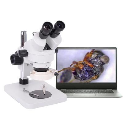 China Jinusoh Trinocular Microscope Stone Arranging Electronic Stereo Microscope For Mobile Phone Repairing TX745-2 for sale