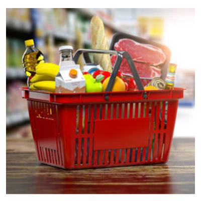 China Plastic& Metal Supermarket Carrying Double Handle Plastic Shopping Basket for sale