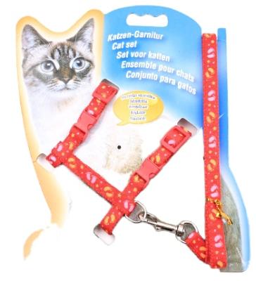 China Kingtale Adjustable Viable Outdoor Cat Harness Escape Proof Pet Walking Collar and Leash Set for Kitty for sale