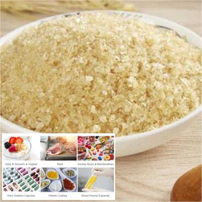 China Anchi Edible Gelatin Powder With Water High Viscosity à venda