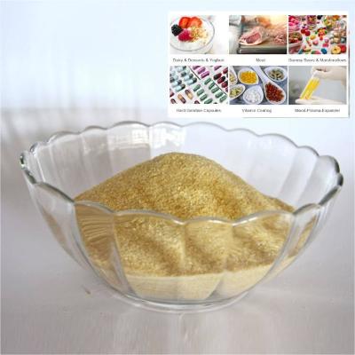 Cina Unflavored Gelatin Edible Powder Haccp Certified in vendita