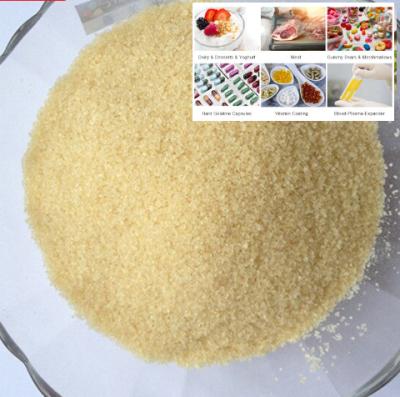 China Bag Packaged Edible Gelatin Powder Food Safety Standards à venda