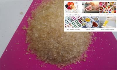 Cina Unflavored Food Additive B Edible Gelatin Powder Thickener For Food Production in vendita