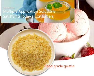 China Haccp Unflavoured Gelatin Powder 25kg/Bag in Food Safety Management System Te koop