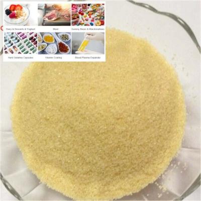 China Fine Textured Pork Gelatin Powder For Food Beverage for sale