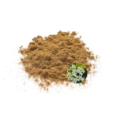 China 100% reines Bio-Alderberry-Extraktpulver für die Knochengesundheit zu verkaufen