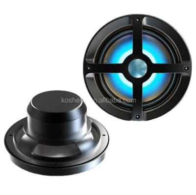 China High Power 100W Loud Marine 6.5inch Speaker with RGB Board in Cheap Cost for Marine/UTV/ATV 6.5 inch for sale