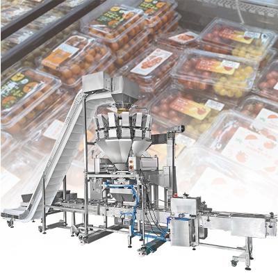 Κίνα Industrial Small Fruit Packaging Machinery Automatic Bottle Sensoning Pellet Filling Machine προς πώληση