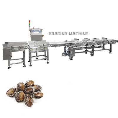 China Industry Automatic Weight Sorting Machine Conveyor Belt Chicken Shrimp Fruits Vegetables Weight Sorter à venda