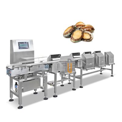 China Waterproof Fish Abalone Seadfood Weight Sorting Machine High Speed for sale