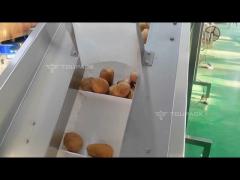 Mesh Bag Packing Machine Onion Mesh Bags Clipping Machine Fruits & Vegetables Mesh Bagging Machine