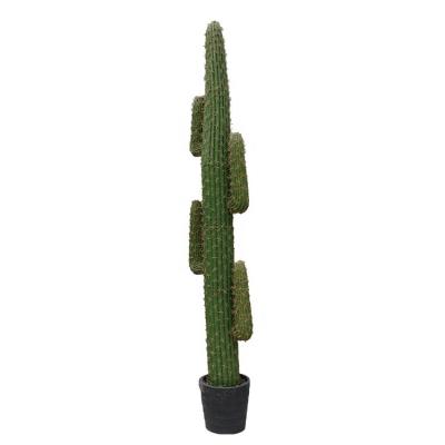 China Eco-friendly high quality indoor large artificial tree and outdoor cactus plants and indoor cactus plants for decoration for sale