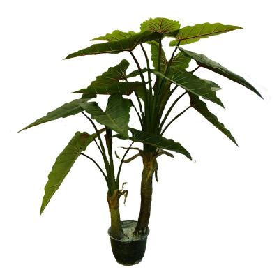 China Customizable Eco-Friendly Touch Artificial Natural Taro Plant Evergreen Plants With Large Leaves For Decoration for sale