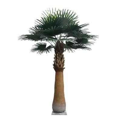 China 2021 Eco-friendly Factory Hot Selling Indoor Or Outdoor Decor Large Artificial Tropical Palm Trees Plants Manufacturer for sale