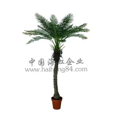 China Artificial Tree Palm, Artificial Phoenix Palm Tree, Artificial Plants for sale