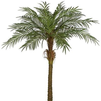 China High Quality Traditional Anti UV Indoor Outdoor Decoration Favorable Prices Artificial Phoenix Palm Tree for sale