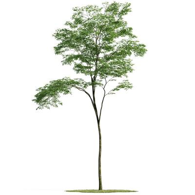 China Landscape Eco-friendly Corner Design Simulated Green Plant Large Ficus Tree Custom Potted Plant for sale