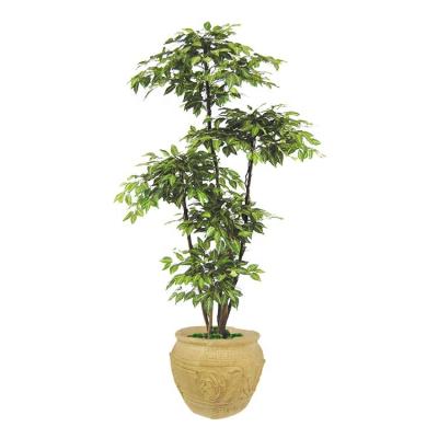 China 180cm Minimalist High Simulation Plants Green Plants Zebra Artificial FICUS TREE for sale