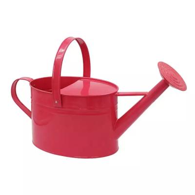 China Wholesale Metal Oval Shape Galvanized Watering Can Garden Watering Pot for sale