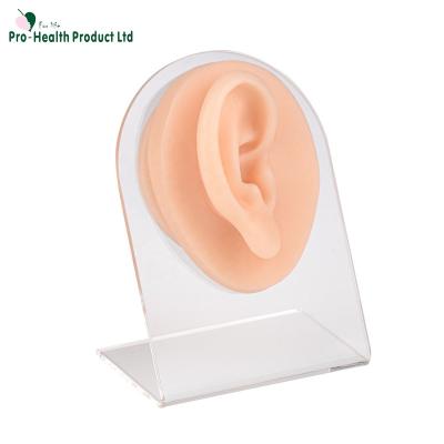 China Puncture/Injection/Suture/Display Silicone Ear Model, Ear Piercing Model for sale