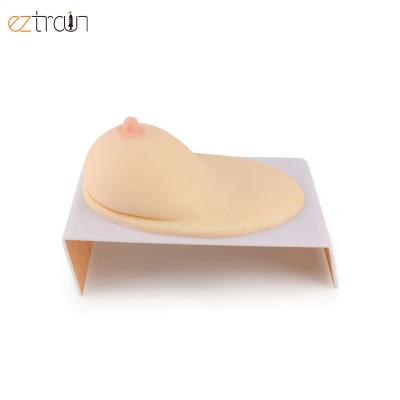 China Beige TPR Prolactin Massage and Breastfeed Model Teaching Lifelike Breast Model for sale