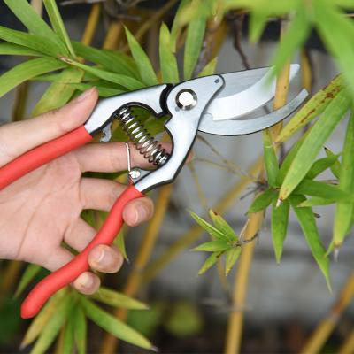 China Wholesale Rose Garden Stainless Steel Sharp Handle Anti-Slip Blade Bypass Lopper Garden Flower Pruner Scissors for sale