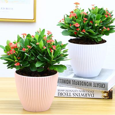 China Good Quality Style Durable Outdoor Modern Garden Plant Stand Modern Flower Pot for sale