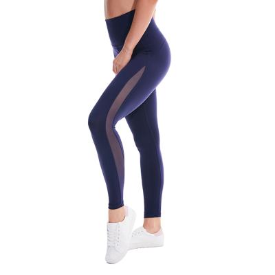 China Breathable Wholesale Hot Sale Sports Gym High Waist Women Yoga Pants Ladies Wear Active Seamless Butt Lifting Workout Gaiters for sale