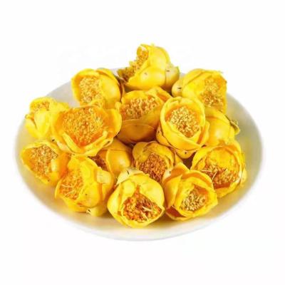 China Golden tea camellia flower camellia chrysantha tea without flower loose inclusion for sale