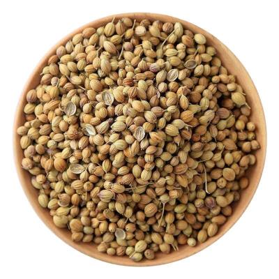 China Hot Selling High Quality Chinese Dry Herb and Spice Coriander Seed for sale