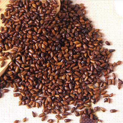 China Chinese Herbal Dried Cassia Loose Tea Seed / Dried Sperm Cassiae for sale