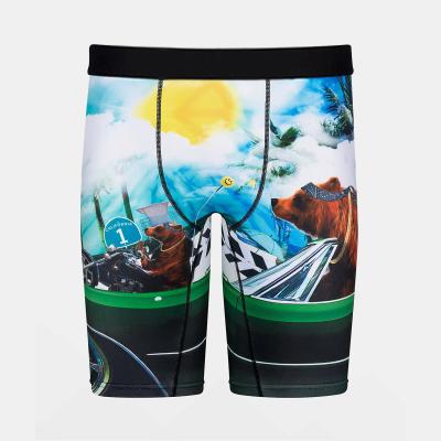 China Wholesale Custom Empty Boxer Breathable Briefs Logo Male Teen Oem Sublimation Briefs Supplier Sports Underwear Polyester For Men for sale