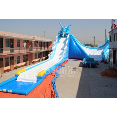 China Water Park Outdoor Design Giant Inflatable Playground Water Slide For Adult for sale