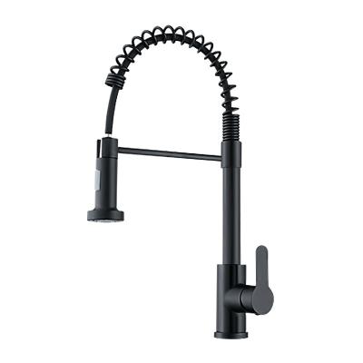 China Pull Out Spray Wholesale 360 Rotation Sprayer Hot Cold Water Filter Tap Mixer Stainless Steel Pull Out Down satin Sink Kitchen Faucets for sale