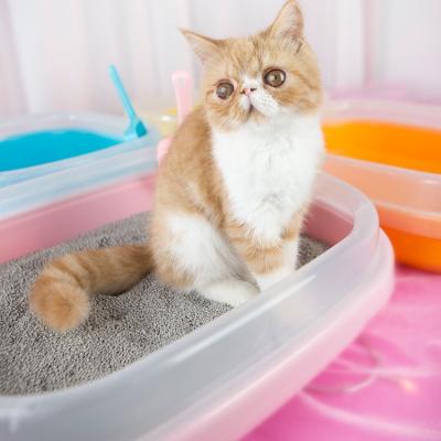 China Factory Wholesale Viable Indoor Dog Toilet Semi-enclosed Sand Basin Anti-splash Cat Dog Toilet for sale