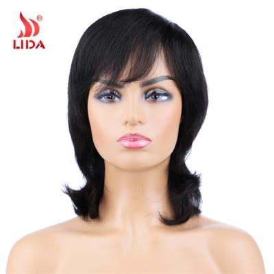 Chine 100% Natural Straight Lida Brazilian Wig Half Long Straight Human Hair Wigs 6222A à vendre