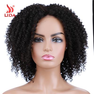 China Lida Natural Curly Mixed Hair Short 16 Inches Medium Wave Part Lace Wig Natural Lace Headband Mix 6665 Wigs Te koop