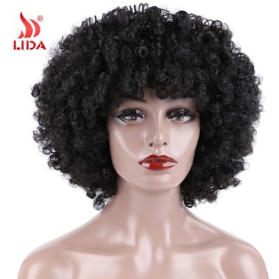 China Afro Wave Lida Synthetic Natalie Long Full Puffy Wig 16inch Kinky Curly 6619 Wig for sale