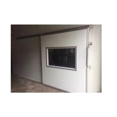 China Various Specifications Weatherproof Limited Time Goods Thermal Cold Storage Sliding Door for sale