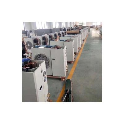 China Single-Temperature Manufacturer Well Made Cold Room Freezer Refrigeration Equipment for sale