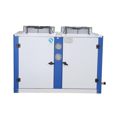 China Genuine Hotels Guarantee Cold Storage Low Temperature Compressor Cold Storage Compressor for sale