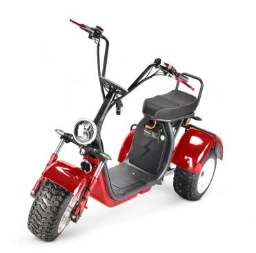 China Unisex Motorcycle 2000W*2 Sweep Less Motor Wheel 2 Seats Max Load 200kg Citycoco Fat Mobility Scooter for sale