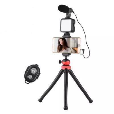 China Smartphone Camera Speed ​​Shotgun Microphone Vlogging Kit with LED Light On-Camera for Video Vlog Microphone Kit for sale